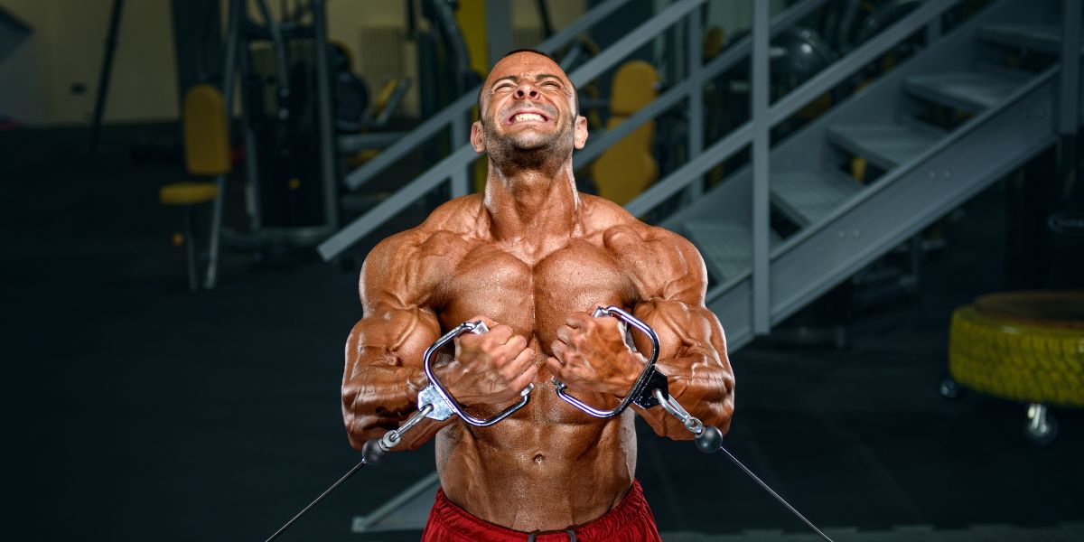 Ultimate Muscle Building Workout Plan for Faster Gains